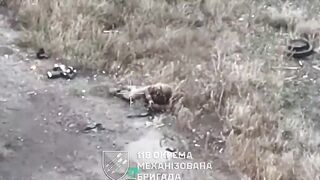 The Russian flew three meters after killing himself with a grenade