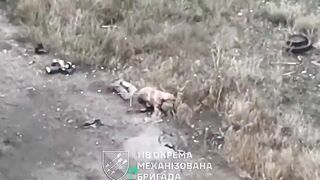 The Russian flew three meters after killing himself with a grenade