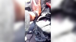 CJNG Gunmen Leave Several National Guard Officers Wounded in Brutal Shootout