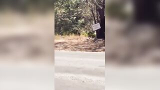 Student Fatally Stabbed During Fight In Costa Rica