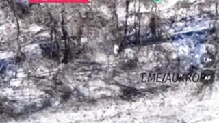 The Ukrainian was overcome by fear.