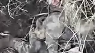 The Madyar Birds effectively eliminated the katsap