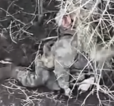The Madyar Birds effectively eliminated the katsap