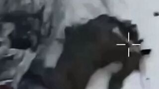 The shattered assault group of Orcs in the Dnipropetrovsk region