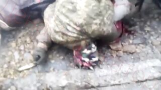 Remnants of the UA Sabotage and Reconnaissance Group
