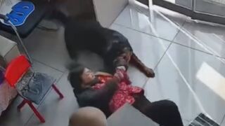 Elderly Woman Attacked And Mauled By Angry Rottweiler