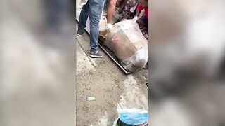 Murdered Woman Found Inside A Shipping Box In Dominican Republic