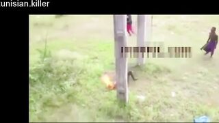 Death 'n' shit compilation 3