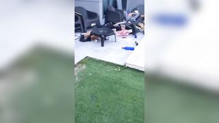 Police Raid on Robbery Gang Ends in Shootout, Suspect Killed