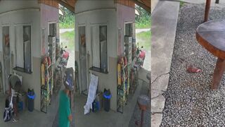 Thief has hand severed by machete.