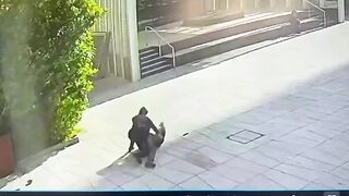 Ultra-Orthodox Party Member Seriously Injured in Suspected Terror Attack