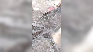 Missing Woman Is Found By Locals Drowned In The River