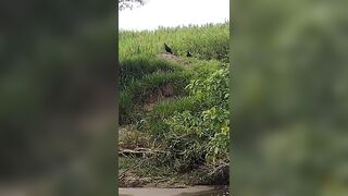 Missing Woman Is Found By Locals Drowned In The River