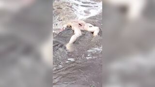 Missing Woman Is Found By Locals Drowned In The River
