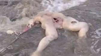 Missing Woman Is Found By Locals Drowned In The River