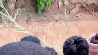 Tragic Crocodile Attack: Child Devoured While Playing by Tsiribihina River