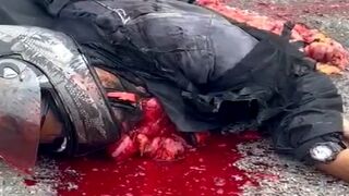 Intestines Out, Heart Still Fighting: The Gruesome Final Moments of a Speeding Biker