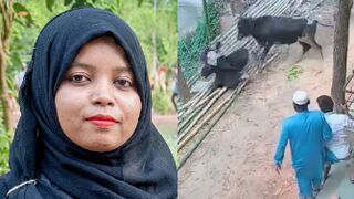 Woman Dies After Being Gored By Bull