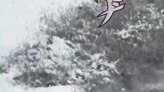 Orc died after a failed attempt to shoot down a UA drone