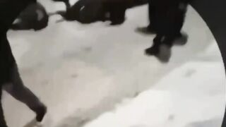 A mob of teenagers of different nationalities brutally beat two skinheads