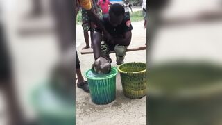 Villagers Found A Funny Way To Torture A Thief