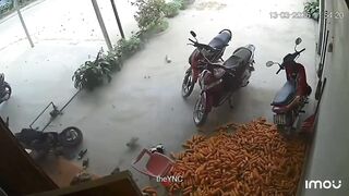 To Ride And Die In Vietnam
