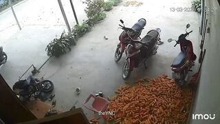 To Ride And Die In Vietnam