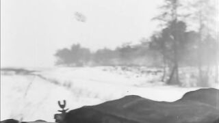 WW2 Wehrmacht/Waffen-SS