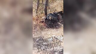 CJNG Gunmen Finish Off Dying Rival on the Ground with Dozens of Rifle Rounds