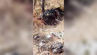 CJNG Gunmen Finish Off Dying Rival on the Ground with Dozens of Rifle Rounds