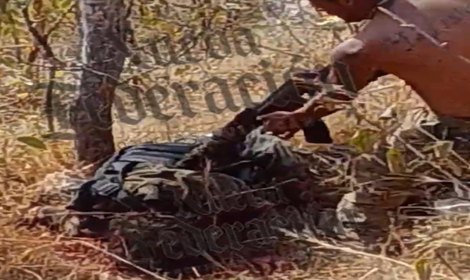 CJNG Gunmen Finish Off Dying Rival on the Ground with Dozens of Rifle Rounds