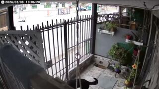 Gang Chase Ends in Savage Beating and Point-Blank Headshot