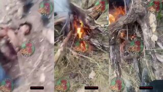 CJNG CHP EXECUTE MEMBERS OF THE MF