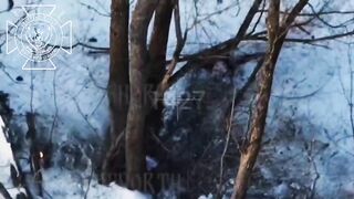 Direct thermobaric shock to 2 Ukrainians.