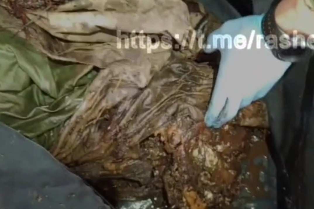 A very smelly and deformed Ukrainian.