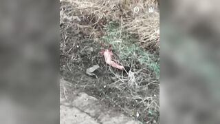 Booyah!   Drone Dismembers Russian into a Tricky Jigsaw Puzzle