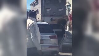 Woman Mauled by Dog in Shocking NYC Street Attack as Bystanders Record Video