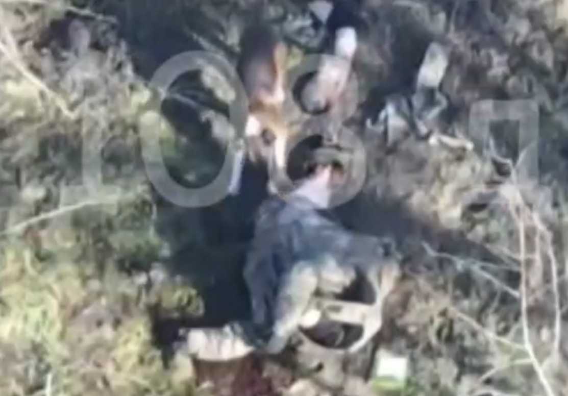 Dog eating a Ukrainian penis.