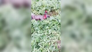 Christian Village Resident Savagely Killed By Islamists In Nigeria