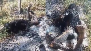 Motorbiker Burnt To Ashes