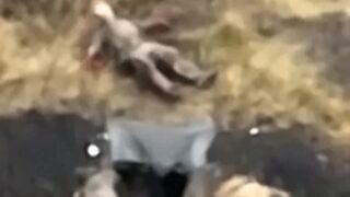Beautiful video of shooting and tearing of the body