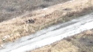 Beautiful video of shooting and tearing of the body