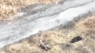 Beautiful video of shooting and tearing of the body