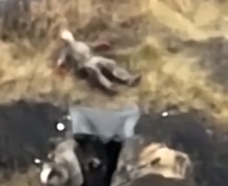 Beautiful video of shooting and tearing of the body