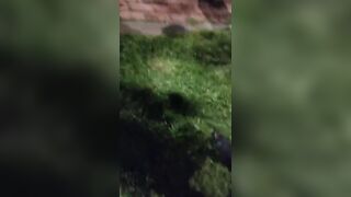 Vehicle Thieves Take Good Kicks In Colombia