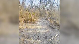 The Orc was found among the bushes and eliminated