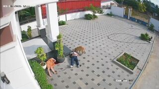 Jealous Man Kills Lover, Then Girlfriend, Then Himself (CCTV & Aftermath)