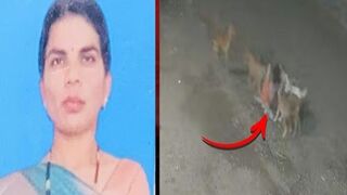 Stray Dogs Brutally Kill Woman in Chakan; CCTV Captures Fatal Attack