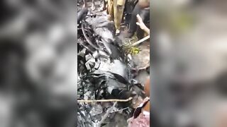 Two Killed In Helicopter Crash In Ghana