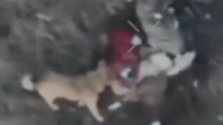 Drone kills Ukrainian to feed a puppy.